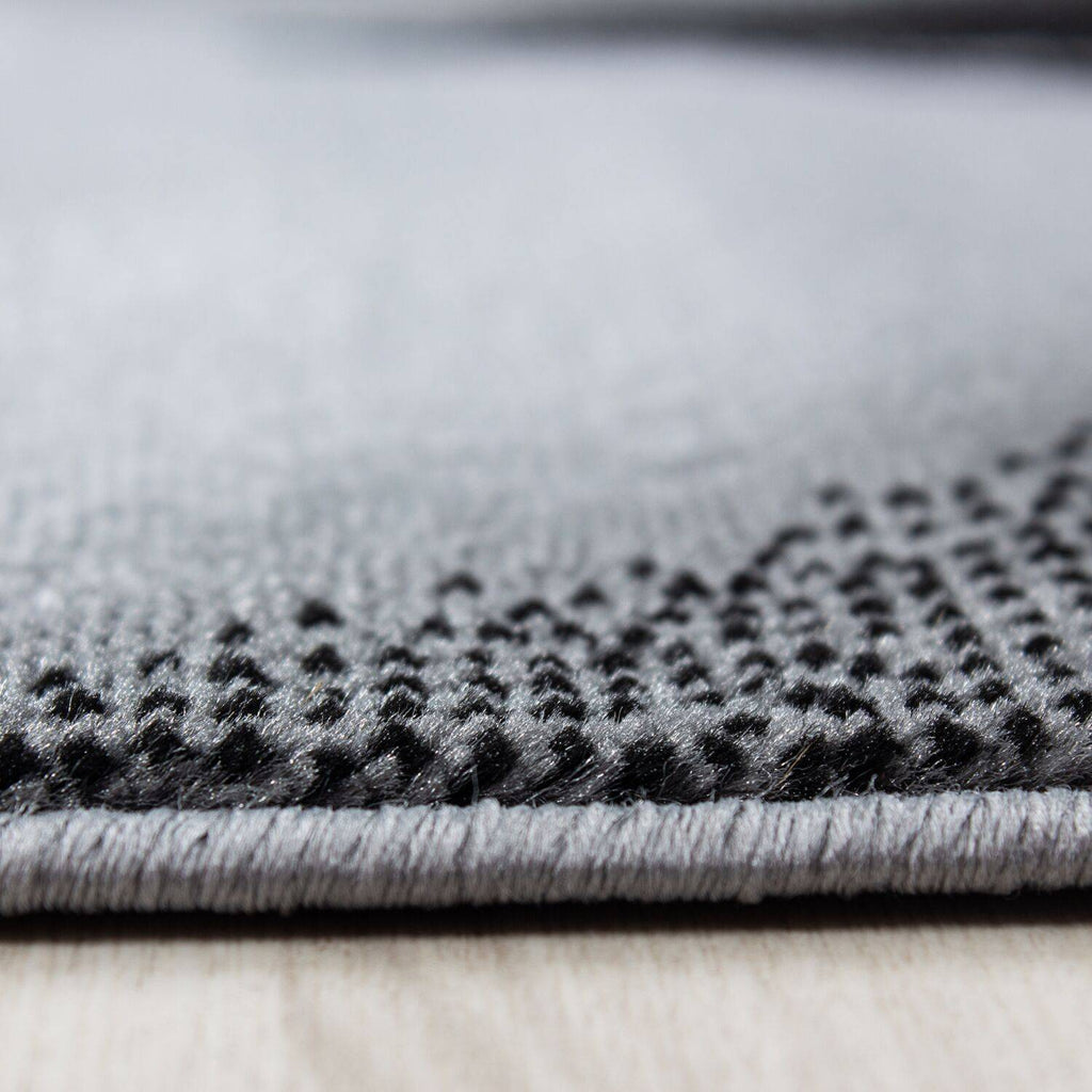 Ava Grey Area Rug cvsonia 