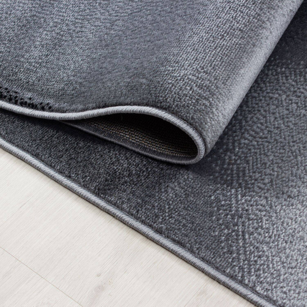 Ava Grey Area Rug cvsonia 