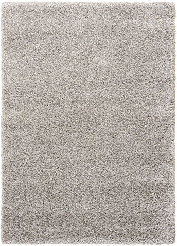 Image of Nourison Light Grey Area Rug RUGSANDROOMS 