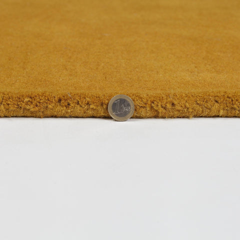 Image of Gabriela Mustard Area Rug RUGSANDROOMS 
