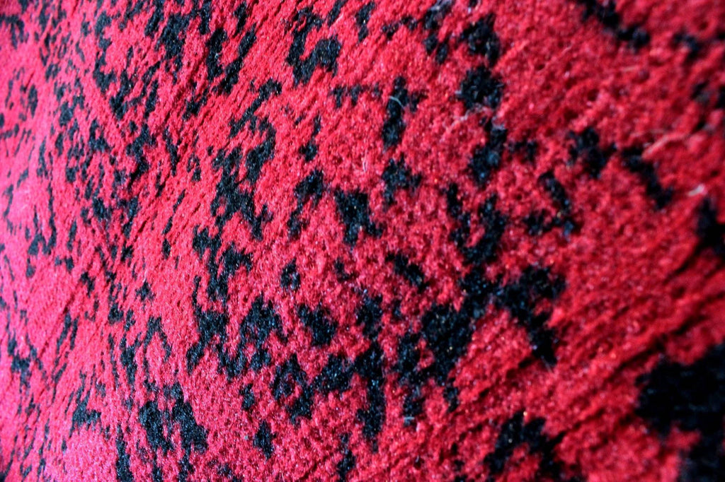 Yuri Red Area Rug Rugs & Rooms 