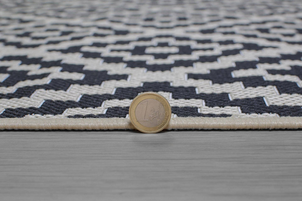 Zoe Black/Beige Indoor/Outdoor Area Rug RUGSANDROOMS 