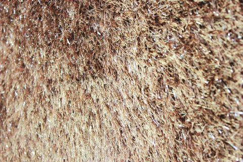 Image of Glitz Beige Shaggy Area Rug RUGSANDROOMS 