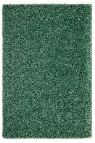 Image of Thick Shaggy Green Area Rug