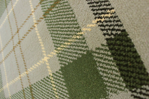 Image of Carina Sage Area Rug RUGSANDROOMS 