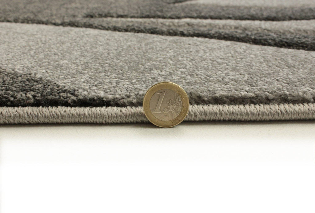 Nelu Grey Area Rug RUGSANDROOMS 
