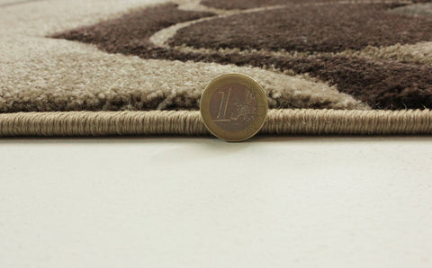 Image of Vine Beige/Brown Area Rug RUGSANDROOMS 