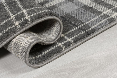 Image of Robert Silver Grey Area Rug