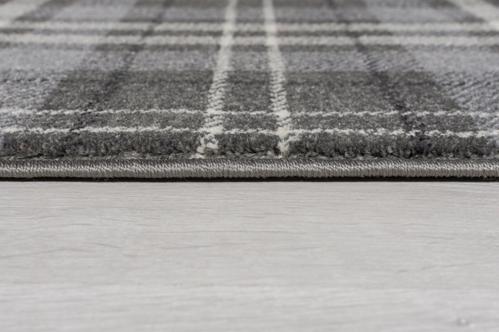 Robert Silver Grey Area Rug