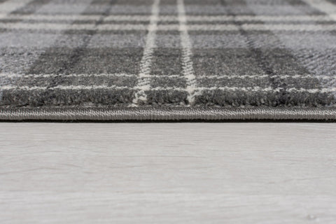 Image of Robert Silver Grey Area Rug