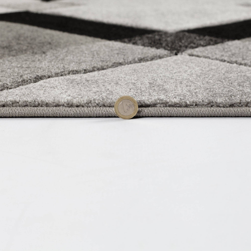 Nimi Grey Area Rug RUGSANDROOMS 