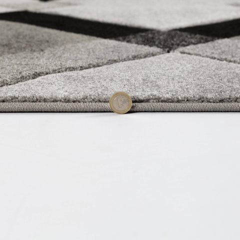 Image of Nimi Grey Area Rug RUGSANDROOMS 