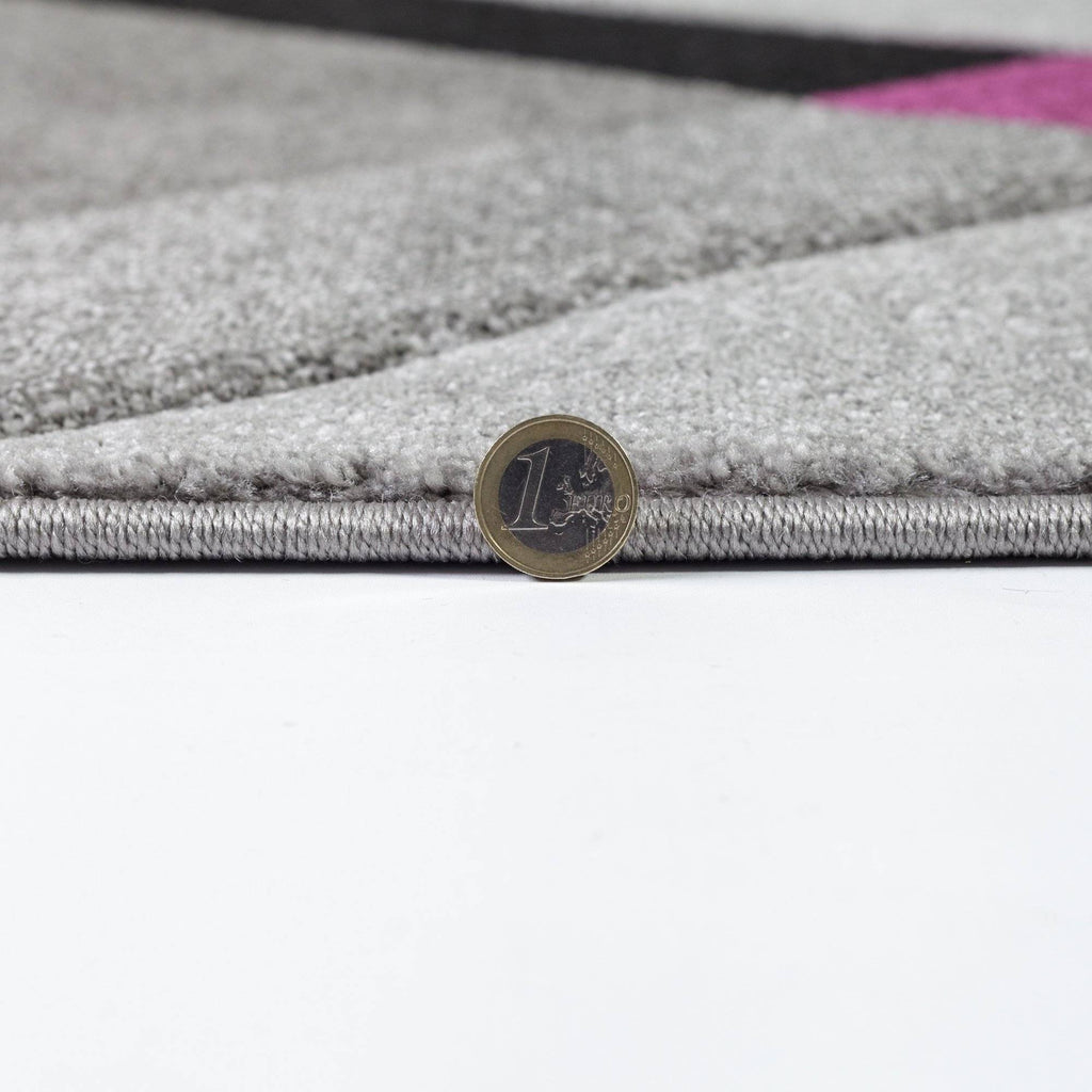 Nimi Grey/Purple Area Rug RUGSANDROOMS 