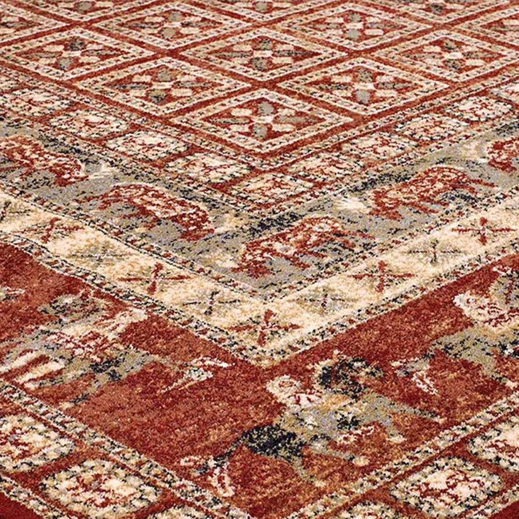 Traditional Royal Red Area Rug RUGSANDROOMS 