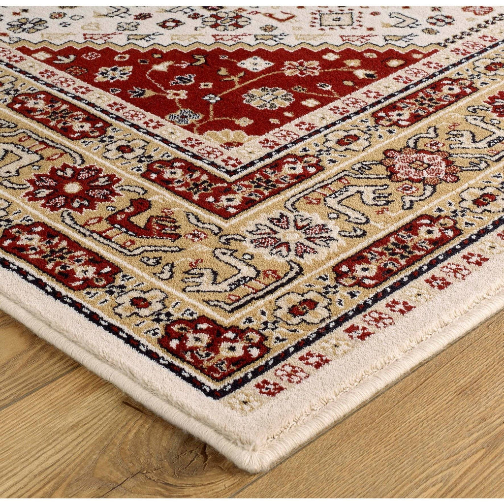 Traditional Cream Area Rug RUGSANDROOMS 