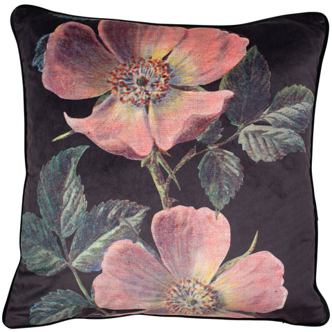 Malini Ravleen Cushion