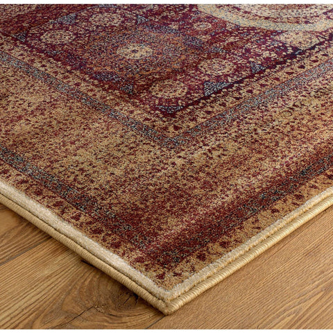 Image of Tabriz Terracotta Area Rug RUGSANDROOMS 