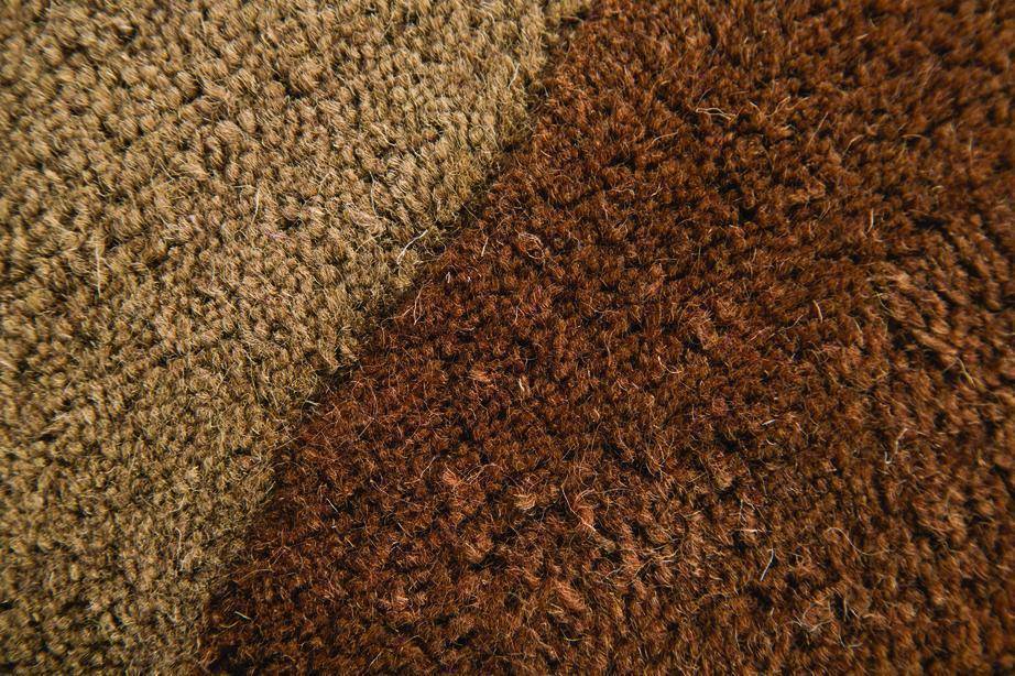 Regina Brown/Taupe Area Rug RUGSANDROOMS 