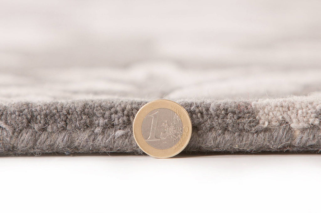 Runa Grey Area Rug RUGSANDROOMS 